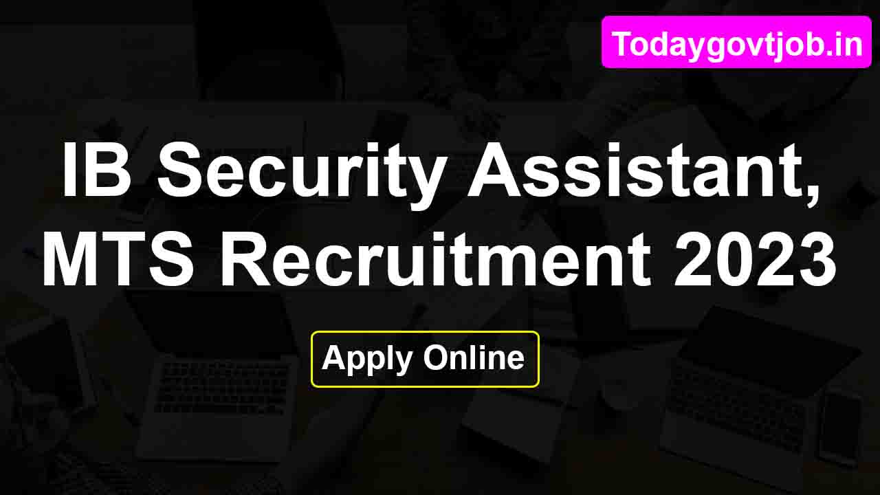 IB Security Assistant, MTS Online Form 2023